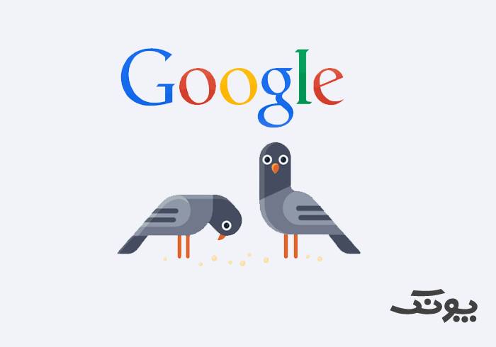 الگوریتم کبوتر گوگل چیست